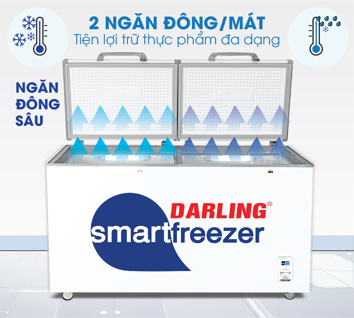 tủ đông smart freezer 3699WS-2