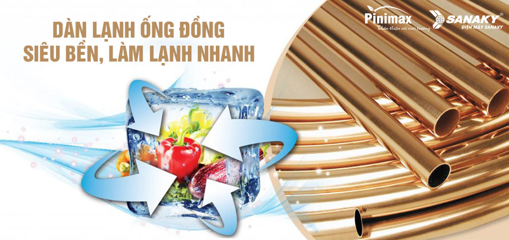 Tủ đông pinimax dàn lạnh đồng