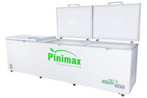 Tủ đông Pinimax Inverter 1300 lít PNM139AF3