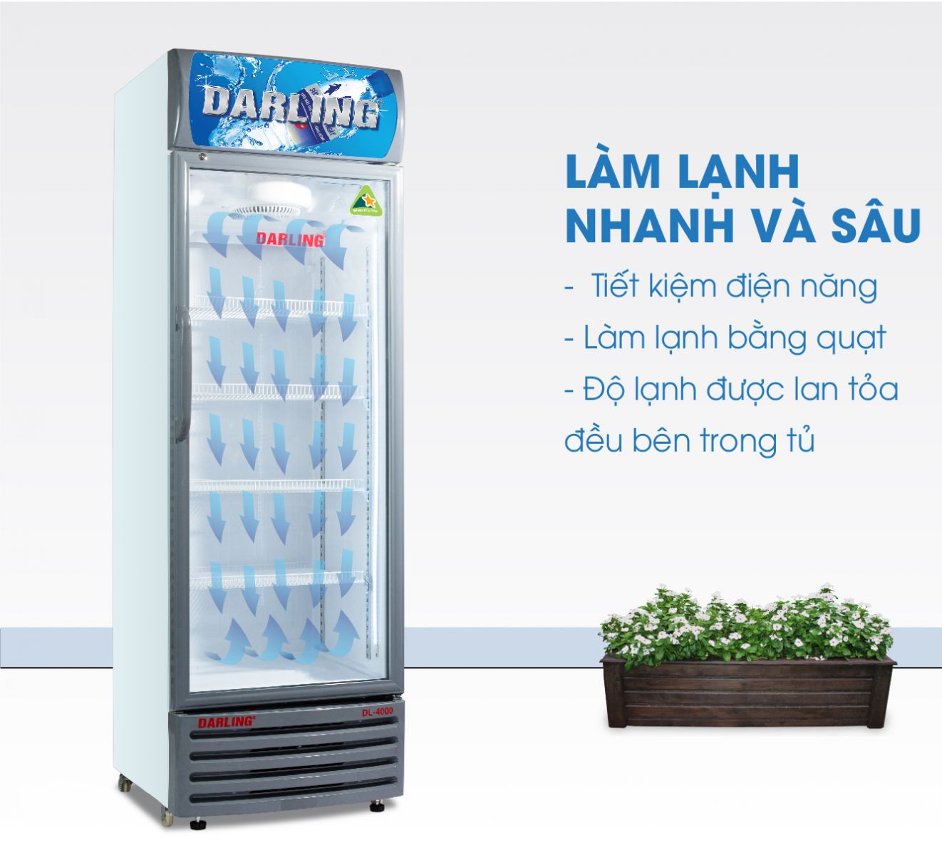 TU MAT DL-4000A2 vien xam