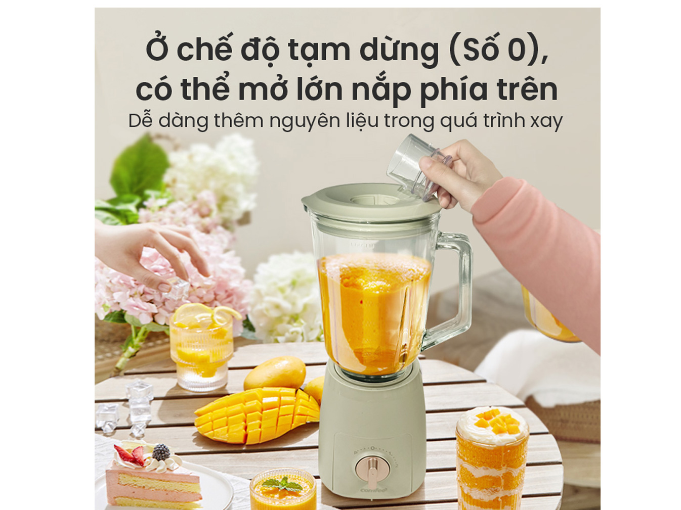 Máy xay sinh tố để bàn