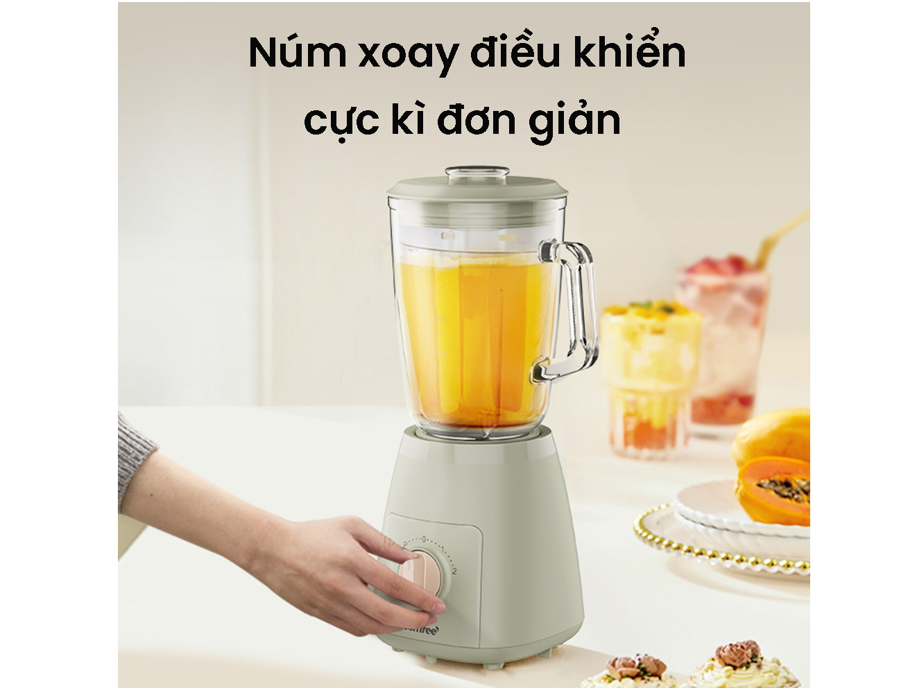 Máy xay sinh tố để bàn