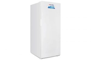 Tủ đông đứng Alaska 390 lít IF 39