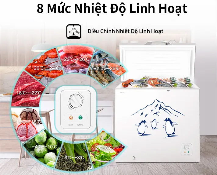 Hisense 202 lít FC260D4EWC1