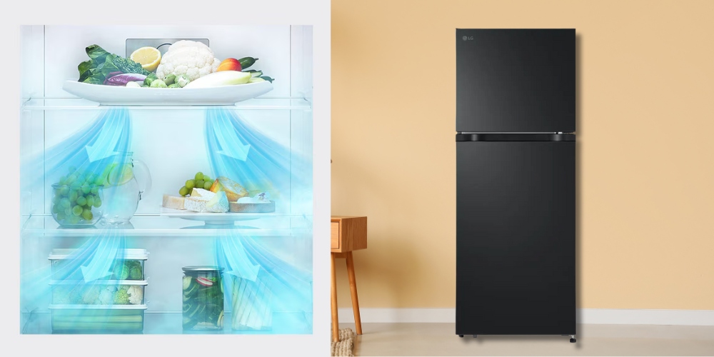 Tủ Lạnh LG Inverter 217 Lít LTB21BLMI giúp thực phẩm được làm lạnh đồng đều