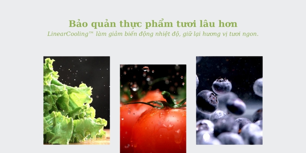 Tủ Lạnh LG Inverter 217 Lít LTB21BLMI làm giảm biến động nhiệt độ