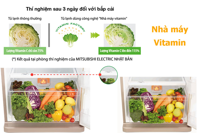 Hệ thống đèn led giả lập ánh sáng mặt trời góp phần tăng cường vitamin C cho rau củ