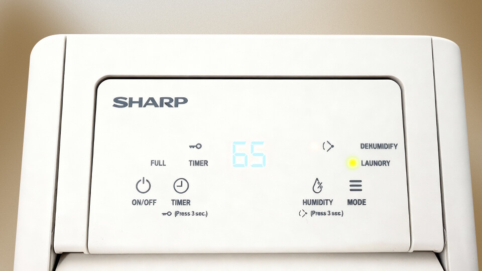 Sharp DW-P12HV-W