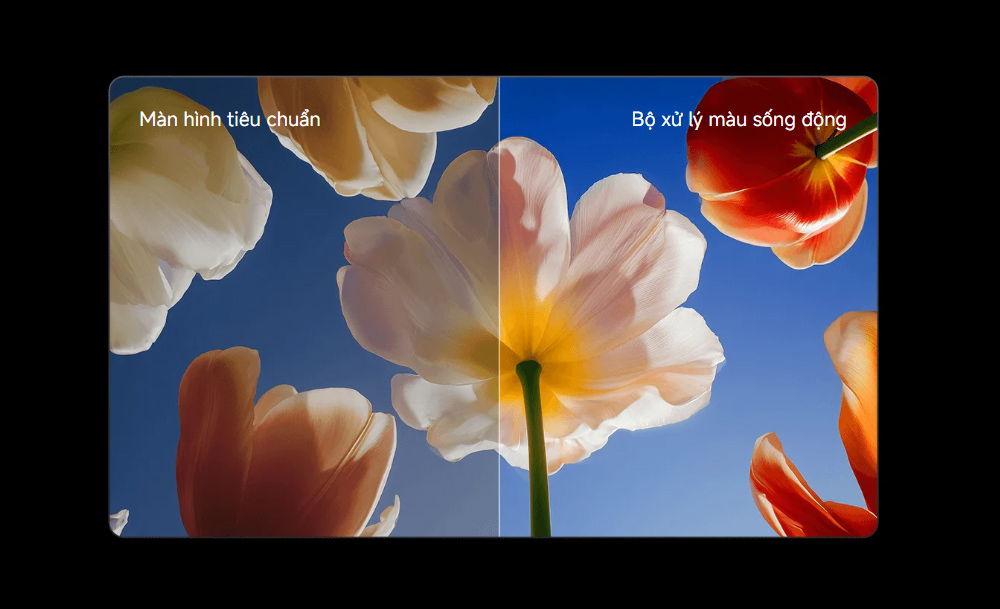 Thiết bị còn có bộ xử lý màu kết hợp với thuật toán mở rộng dải màu