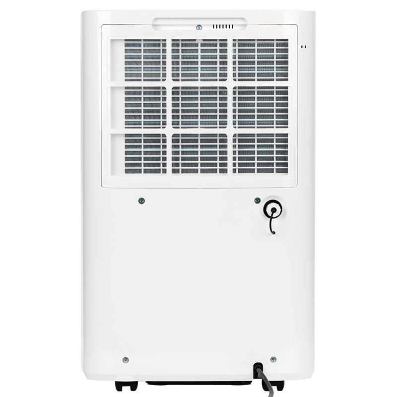 Máy hút ẩm LUMIAS D6S-60L - Công suất