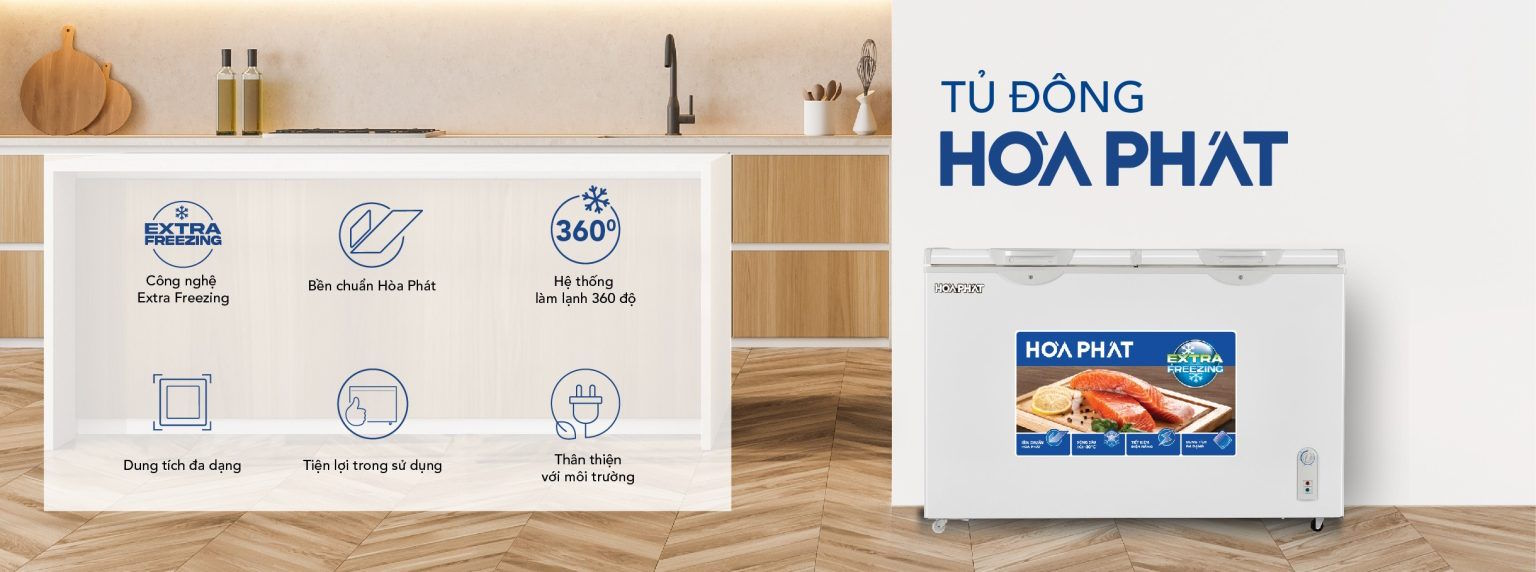 Tủ đông Hòa Phát HPF BD6295 295 lít