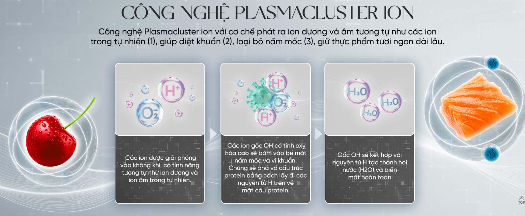 Tủ lạnh Inverter 