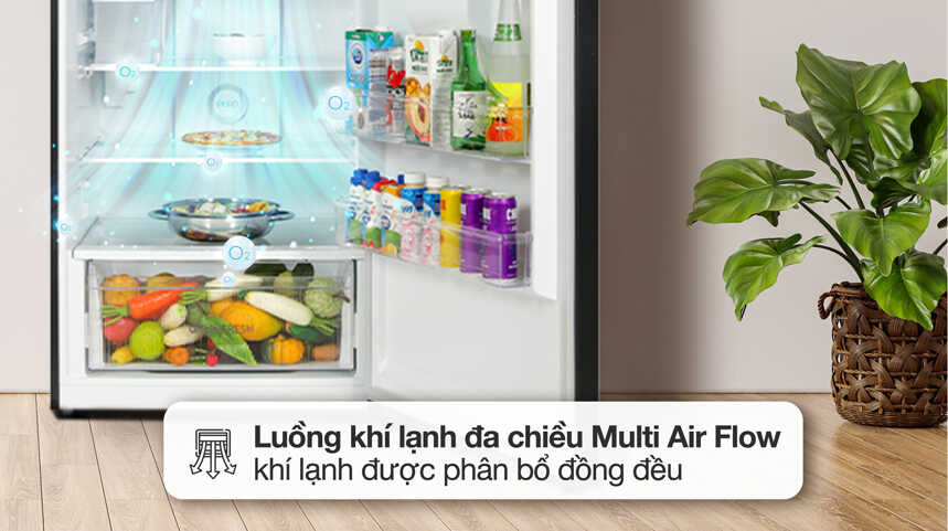 Tủ lạnh Toshiba Inverter 271 lít GR-RT349WE-PMV(68)