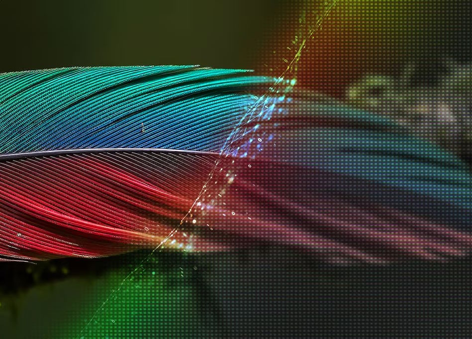 Smart Tivi LG AI 4K 55NU855BPSA