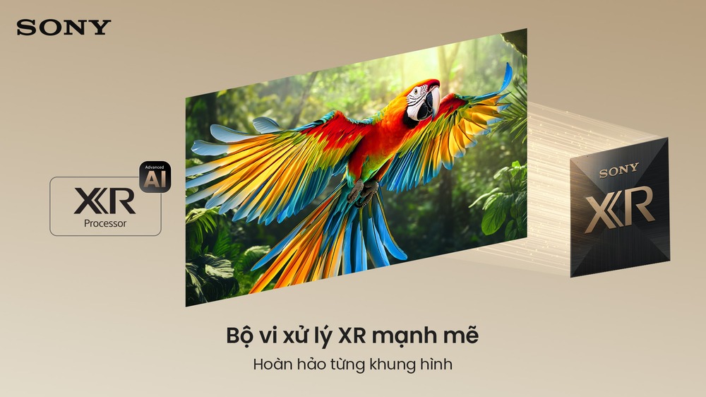 Bộ vi xử lý XR Processor Sony Google TV True RGB BRAVIA 7 II K-75XR70M2