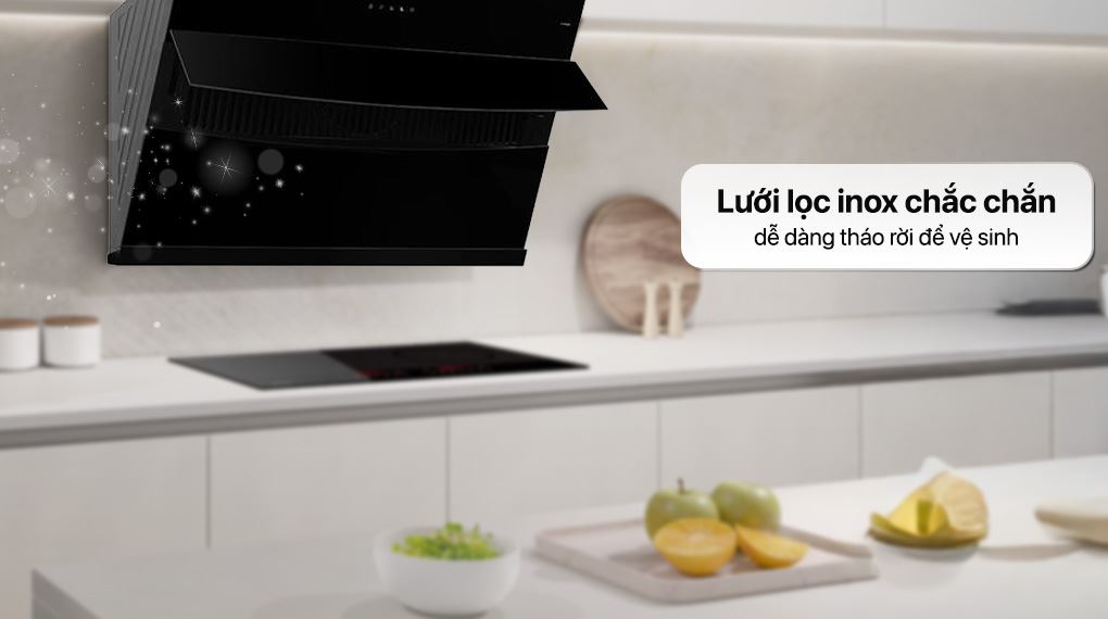 Máy hút mùi áp tường Panasonic FV-VX9ABBYUE - Lưới lọc