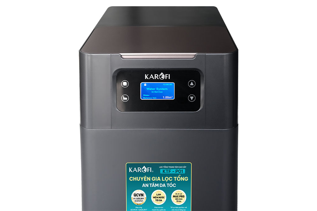 Máy lọc nước đầu nguồn Karofi KTF P01